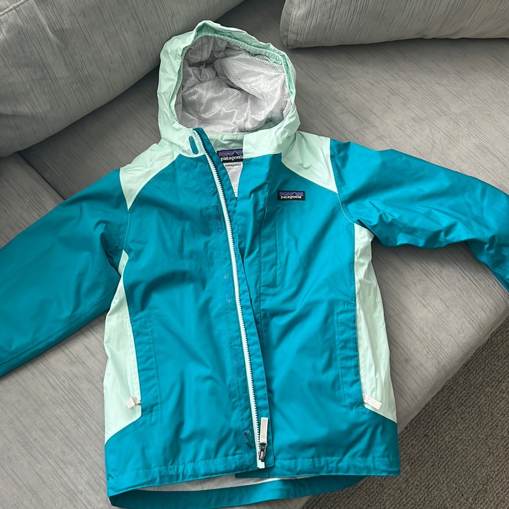 Patagonia winter jacket lined